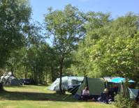Couple/adult pitch