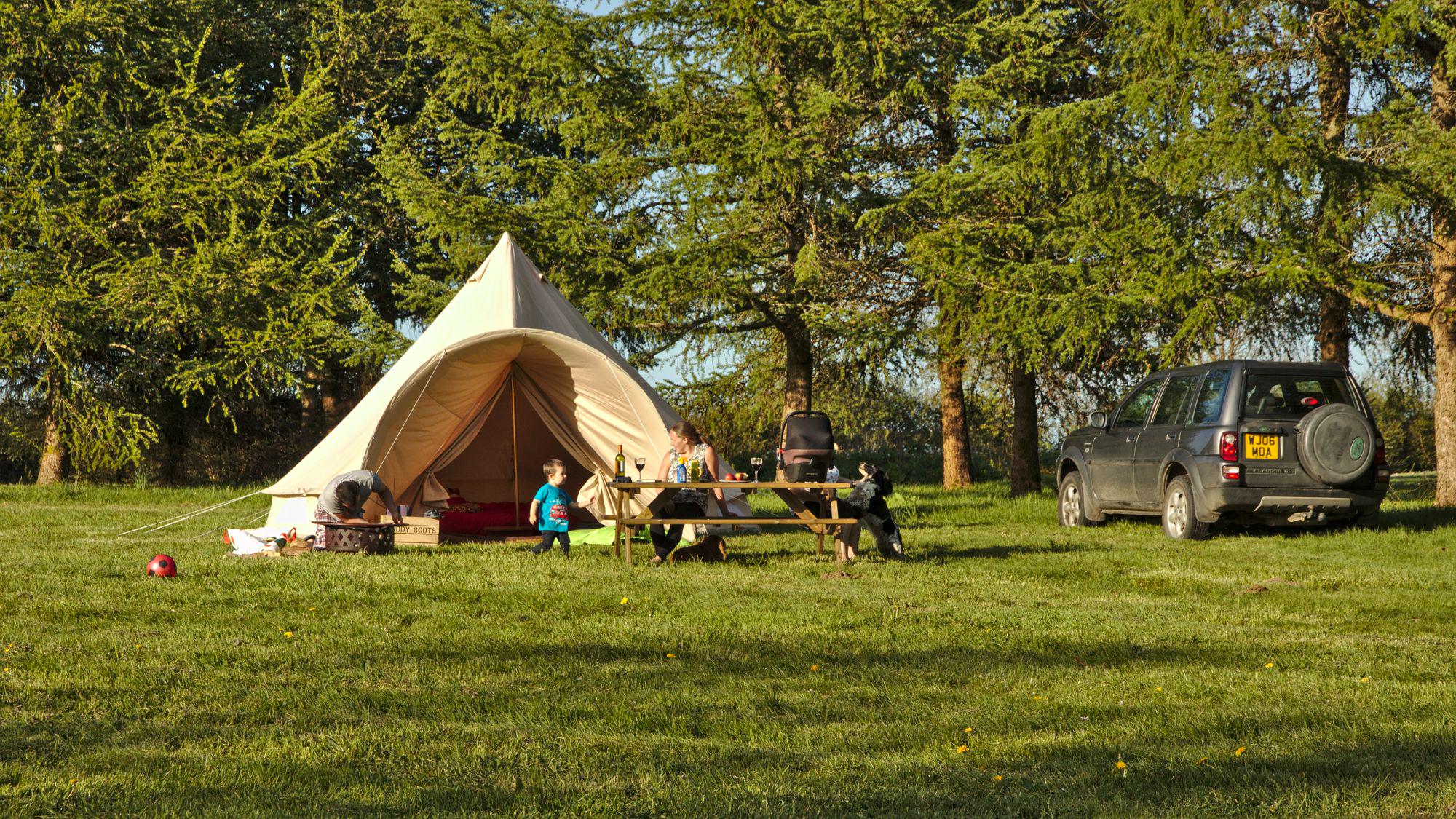 Dog-Friendly Camping in South Wales | Pods, campsites with dogs allowed