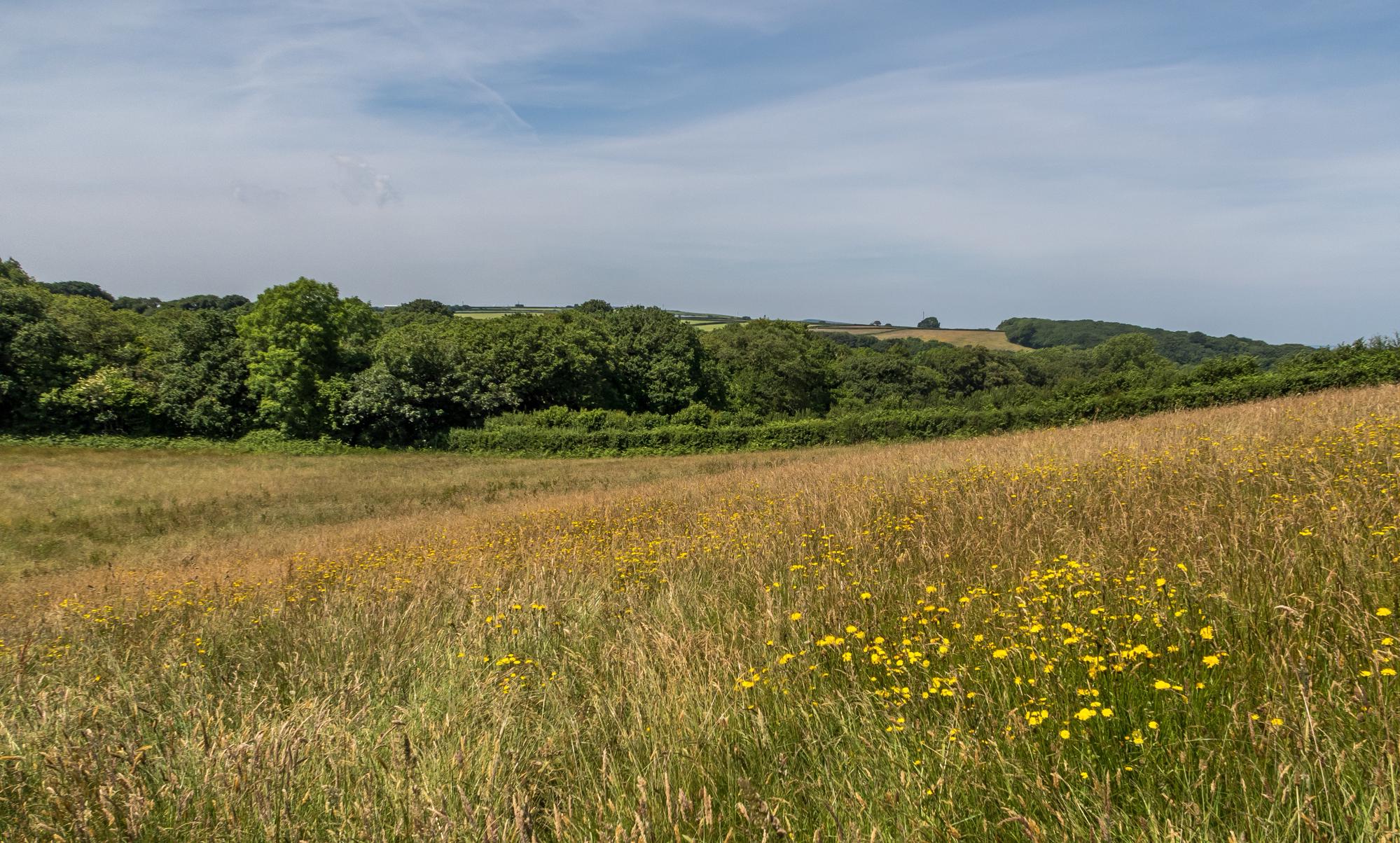 Polzeath Camping – Campsites near Polzeath, Cornwall