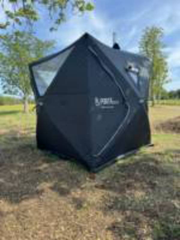 Zeus showman's carriage