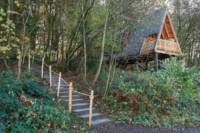 'Flint' the woodland den