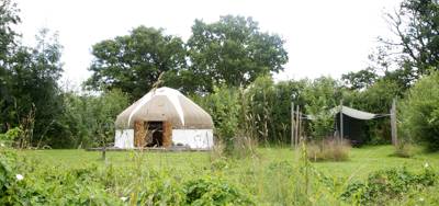 Beech Yurt