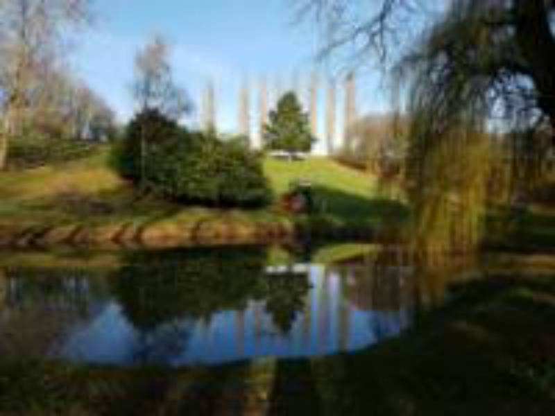 Tilia Bell Tent   (Dog Friendly)