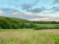Meadow Pitch