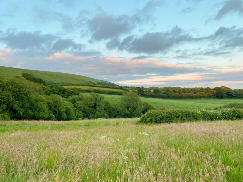 Meadow Pitch