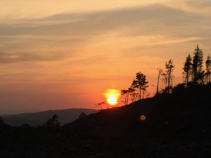 Ty Crwn Bach Idris - Yurt