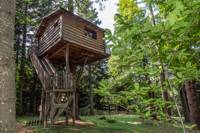 "Marmotte" Marmot Tree House