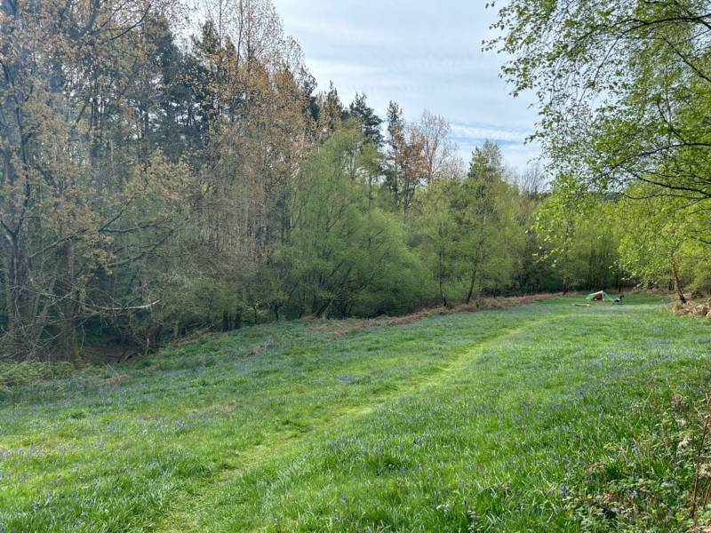 Faraway Medium Tent Pitch