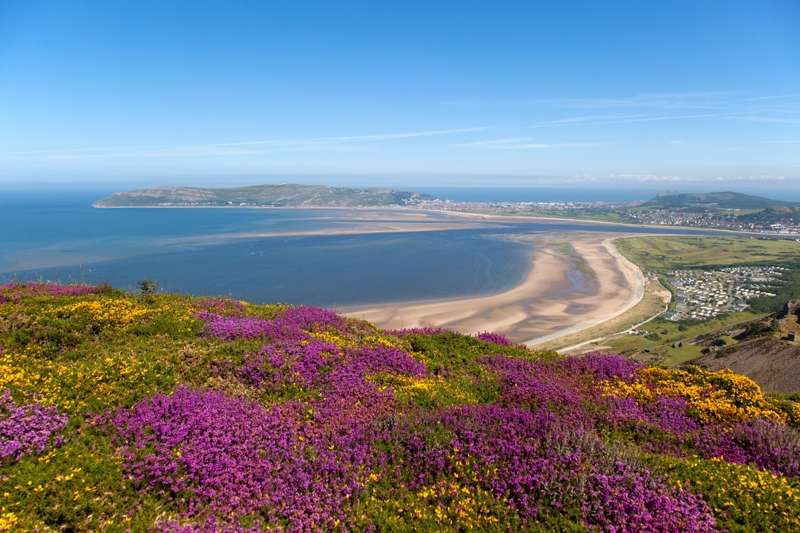 Powells Cottage Holidays Pembrokeshire
