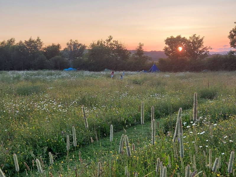 Kestrel Hobbit House