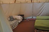 Tipi for a family