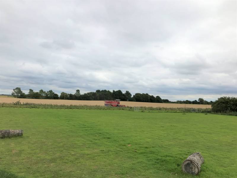 Free Rein, Wild Grass Pitch for Tent