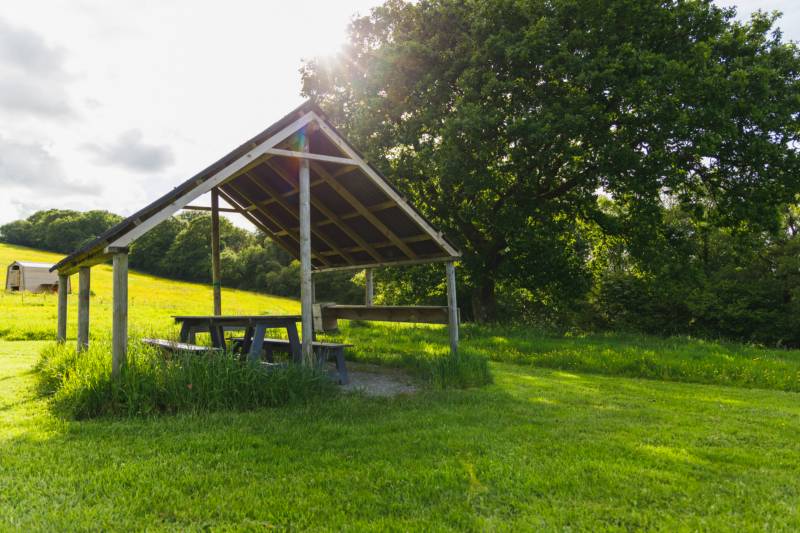 Thyme - Ensuite Grass Pitch