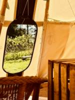 Bramble Tipi