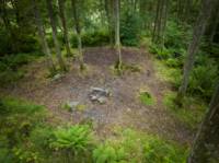 Woodland Tent Pitch 10 (3.5m x 3.5m)