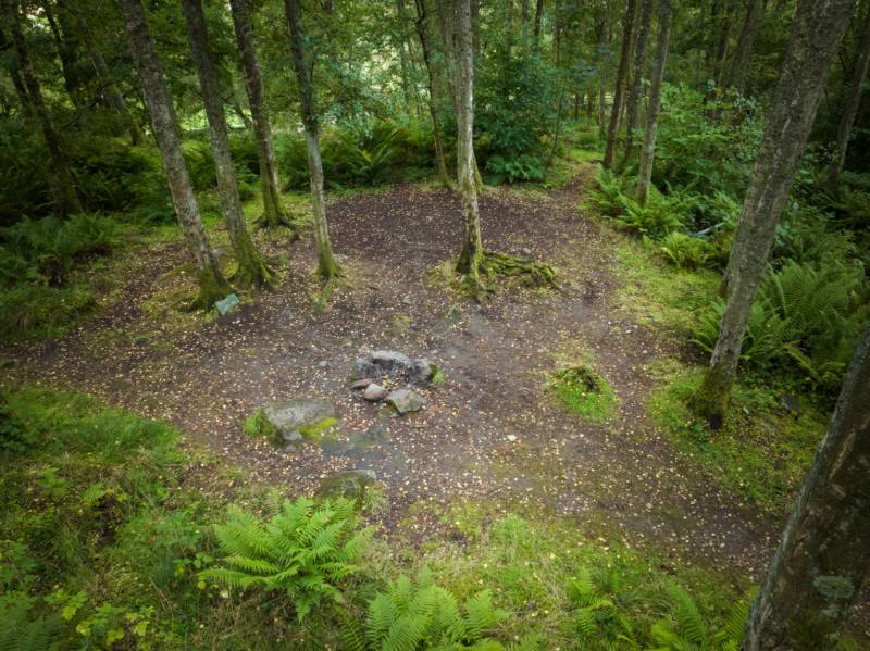 Woodland Tent Pitch 10 (3.5m x 3.5m)