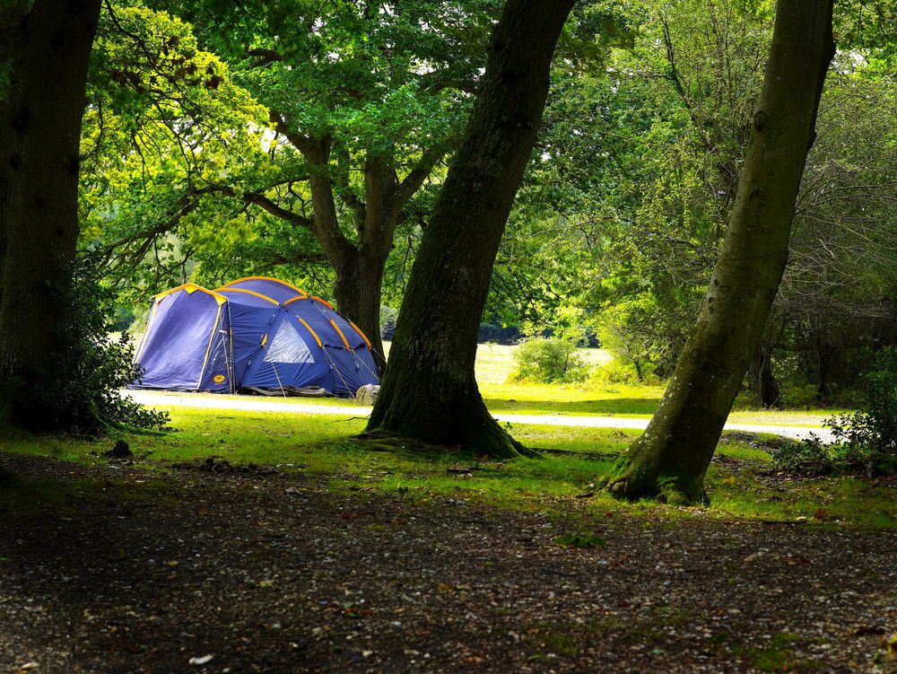 The Revival of Woodland Camping...