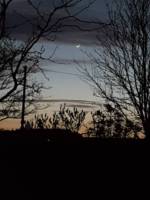 Tilia Bell Tent (Dog Friendly)