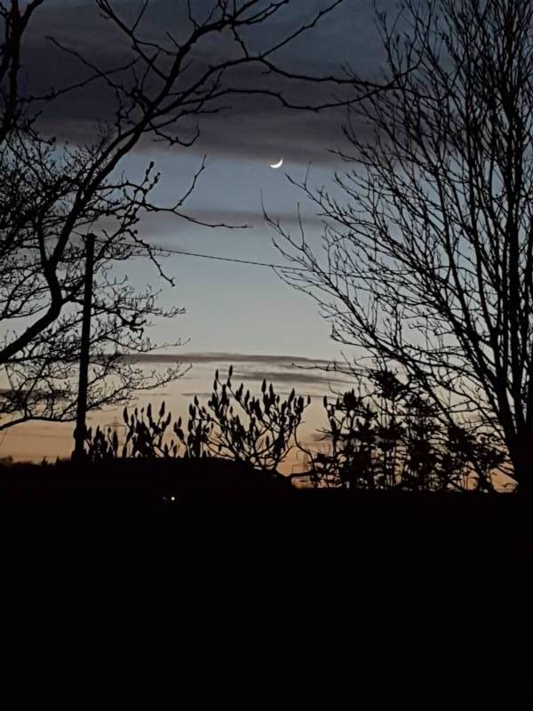 Tilia Bell Tent   (Dog Friendly)