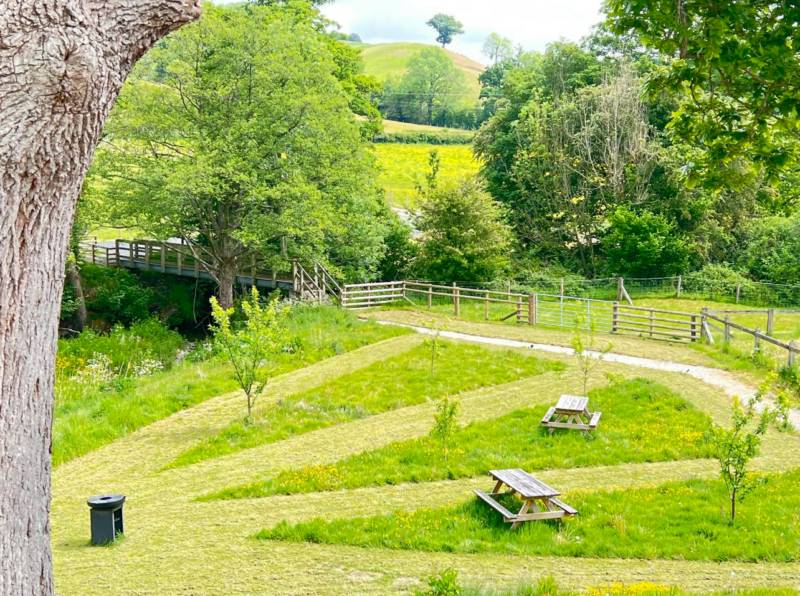 The Kingfisher Cabin