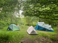 Faraway Double Tent Pitch
