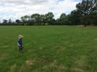 20 Pop-up Camping Meadow Pitch (1st Field)