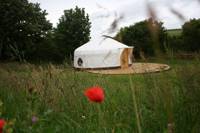 Family-sized yurt on the Cornish coast