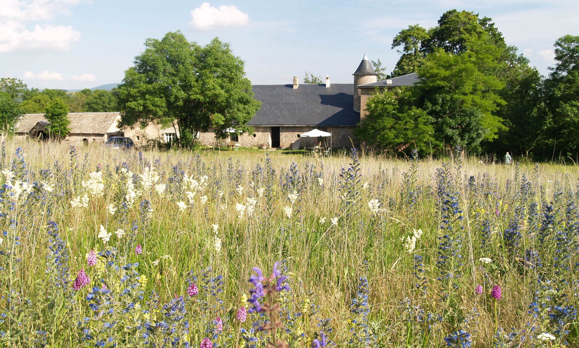 Campsites in Languedoc – The Best Camping Sites in Languedoc, France