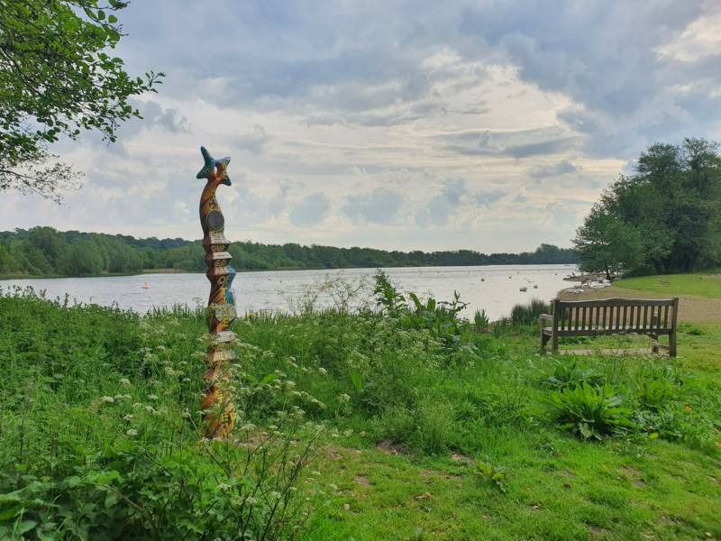 Lower Meadow camping pitch (1 tent or 1 van)