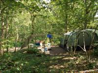 BYO Camping