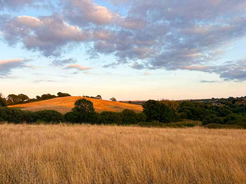 Meadow Pitch