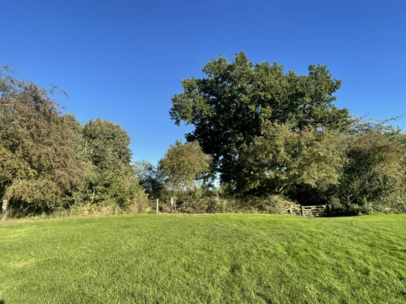 Grass Pitch with Electric Hook Up Point