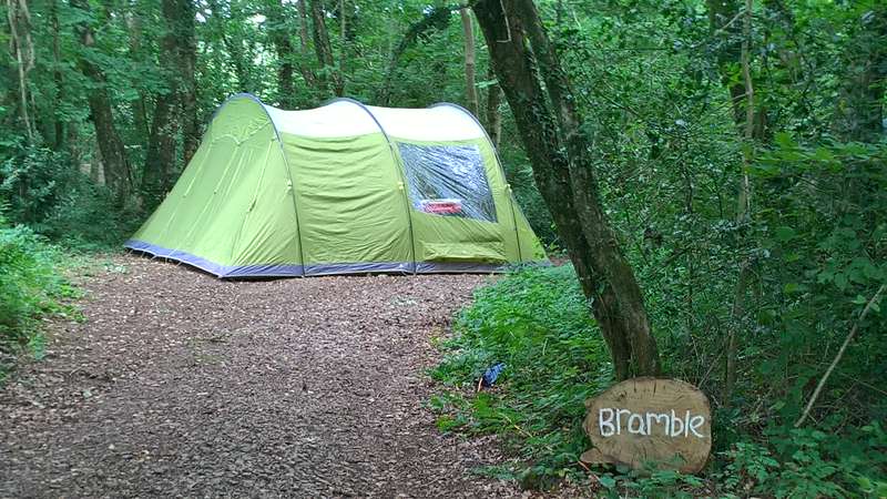 Bramble Woodland Pitch