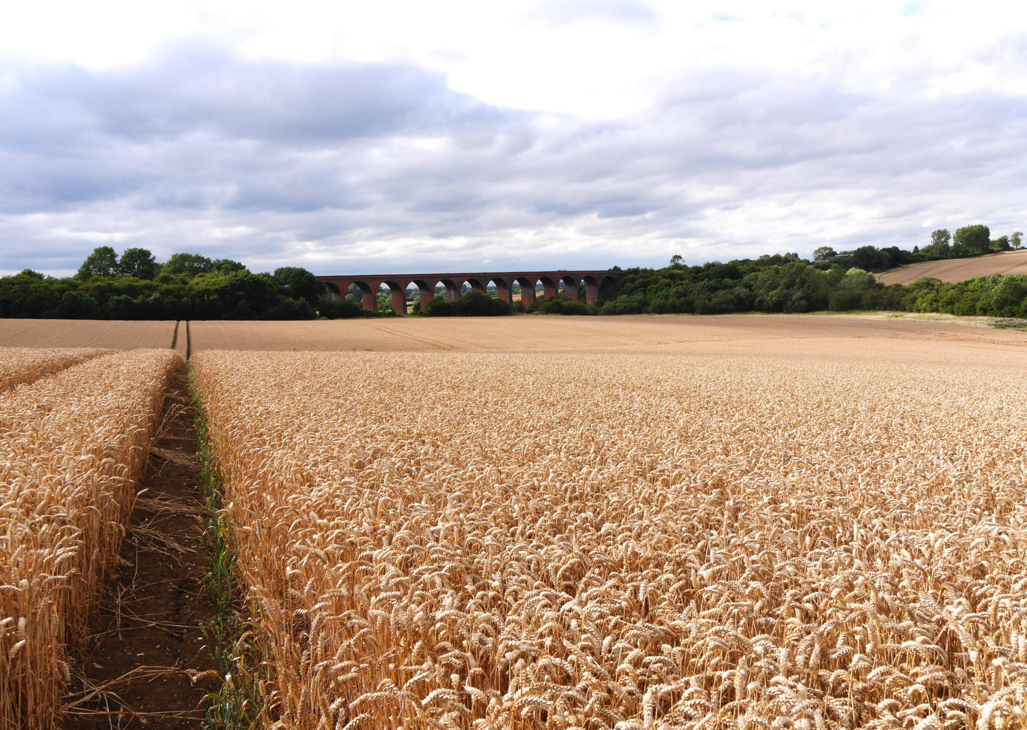 Loughborough Camping | Campsites in Loughborough, England