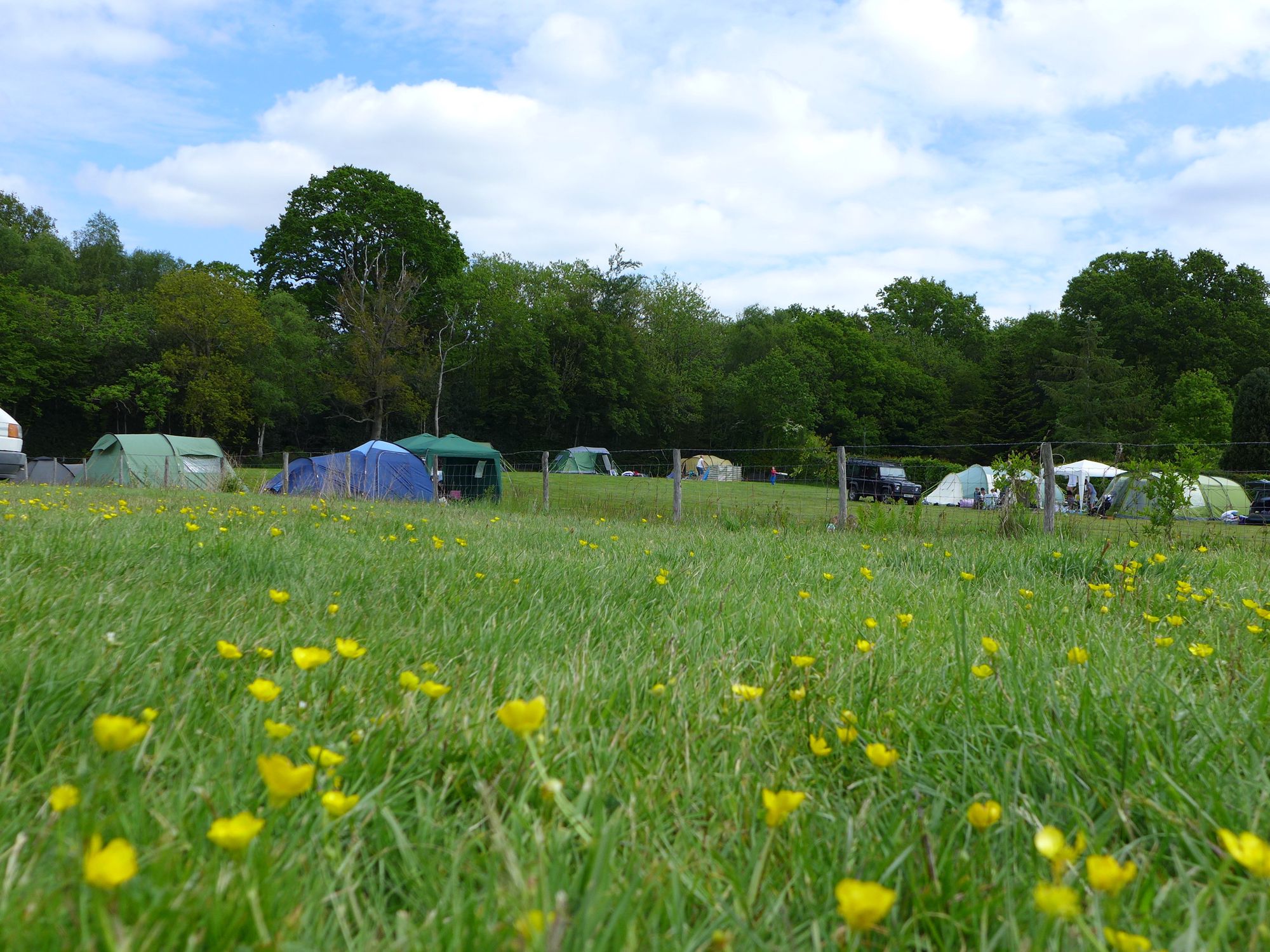 Campsites on the Weald – Best camping locations in the High Weald area – Cool Camping