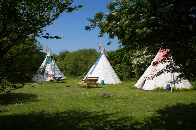 Medium Tipi 8 - Village Field