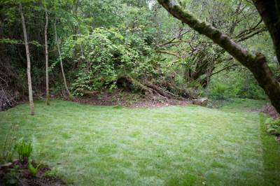 Poppy's - Wild Camping - Private Pitch