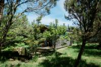 Small Woods Shepherd's Hut