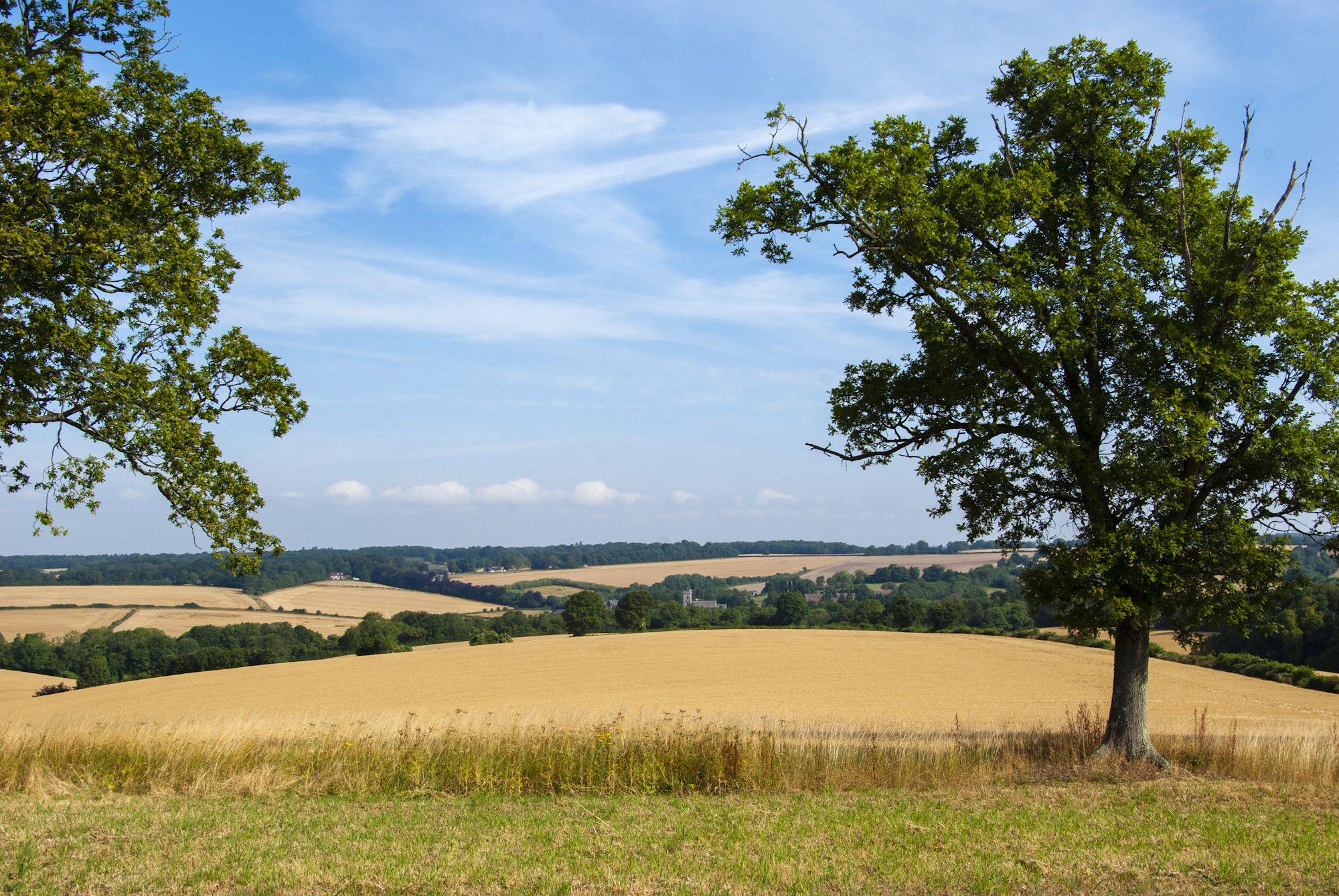 Petersfield Camping | Best campsites in Petersfield, Hampshire