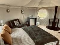 Starry Skies Yurt
