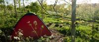 4m x 2.5m Small woodland pitch No. 1