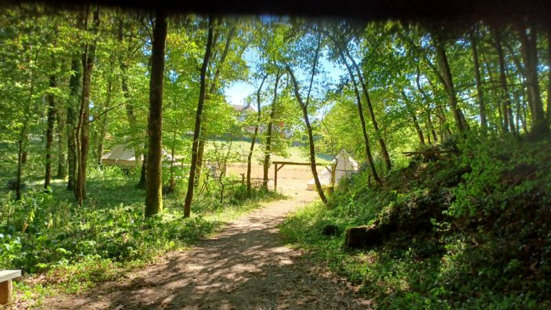 Exclusive hire of the whole campsite