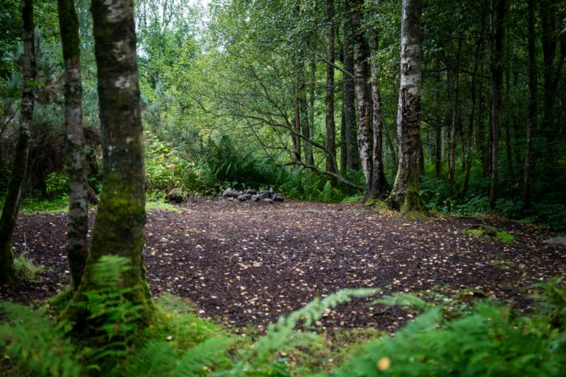Woodland Tent Pitch 4 (3.5m x 3.5m)