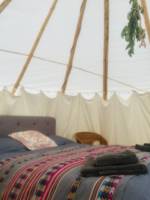 Child-free tipi glamping in a Norfolk meadow