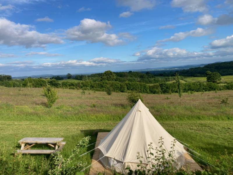 Bell Tent - Rowan