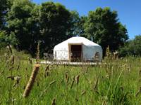 Family-sized yurt on the Cornish coast