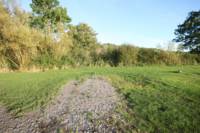 Pitch 10 Hard standing electric