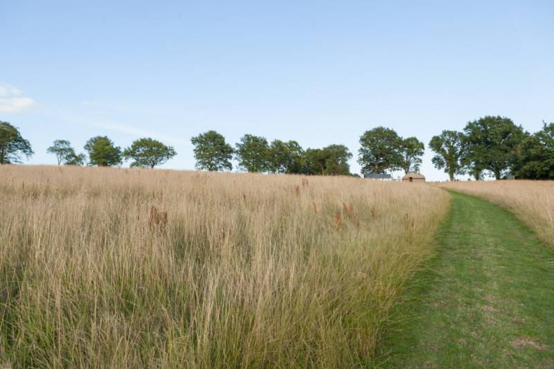 Ash Yurt - 16ft, with outdoor kitchen