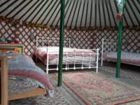 Yurt, set in a secluded spot with hot tub and sauna