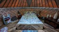 Shibui Yurt
